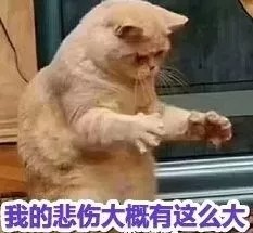 3 · 15 品質(zhì)煥新家 萬元大國品牌尚品宅配免費贈送！